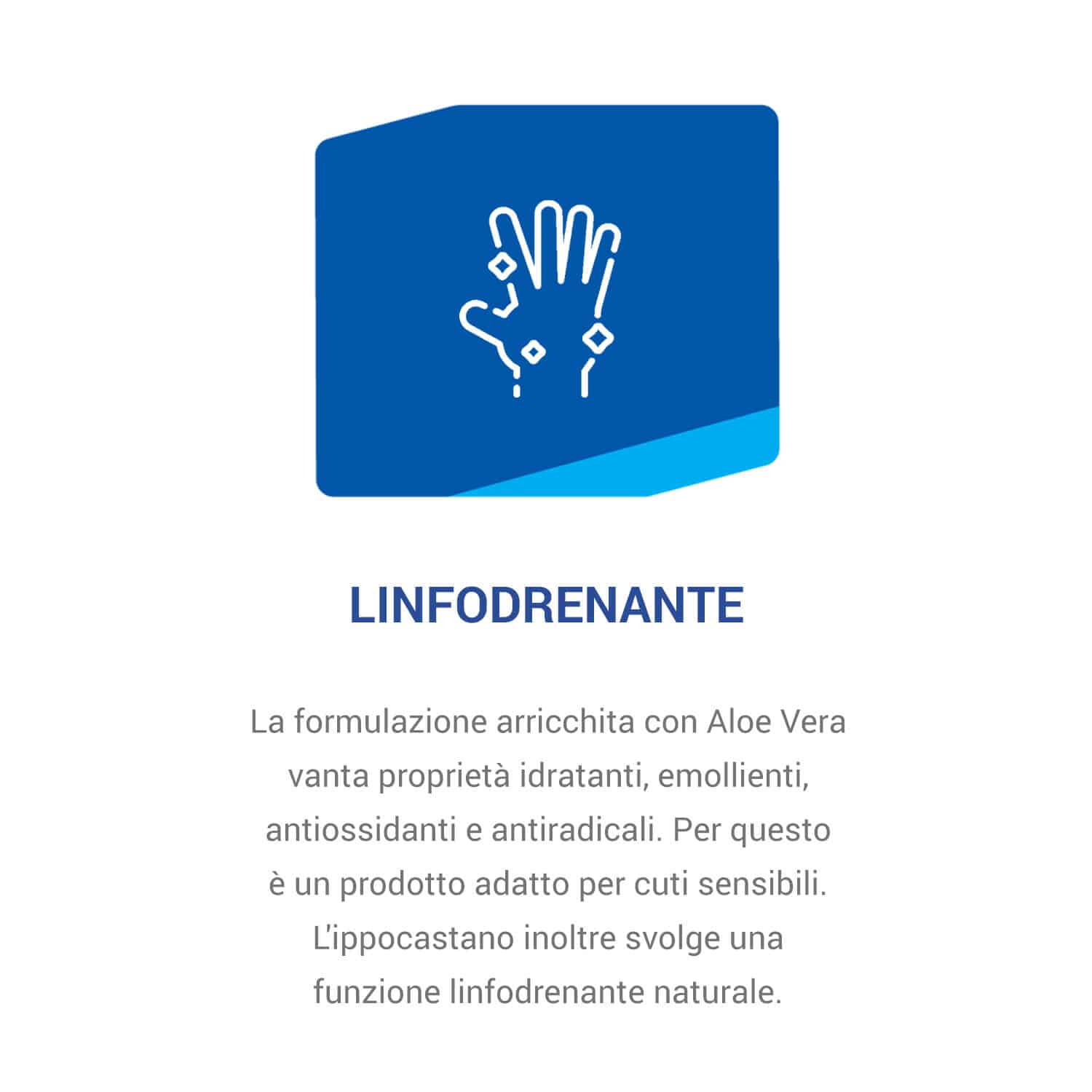 ippocastano_USP2_5