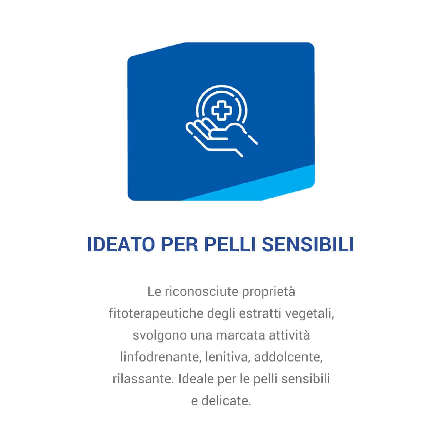 ippocastano_USP3_6