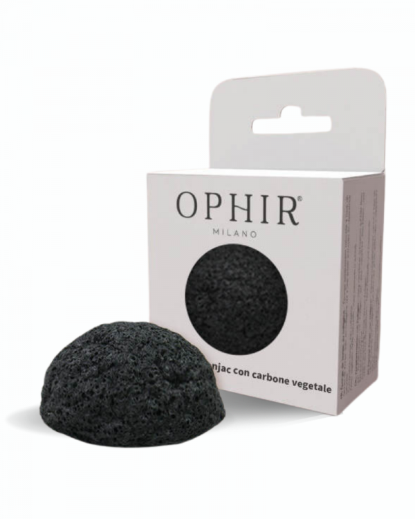 2-WP-coal-600x750